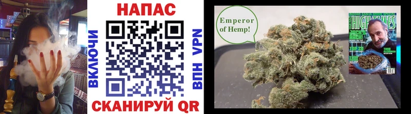 Каннабис Bruce Banner  закладка  Куровское 
